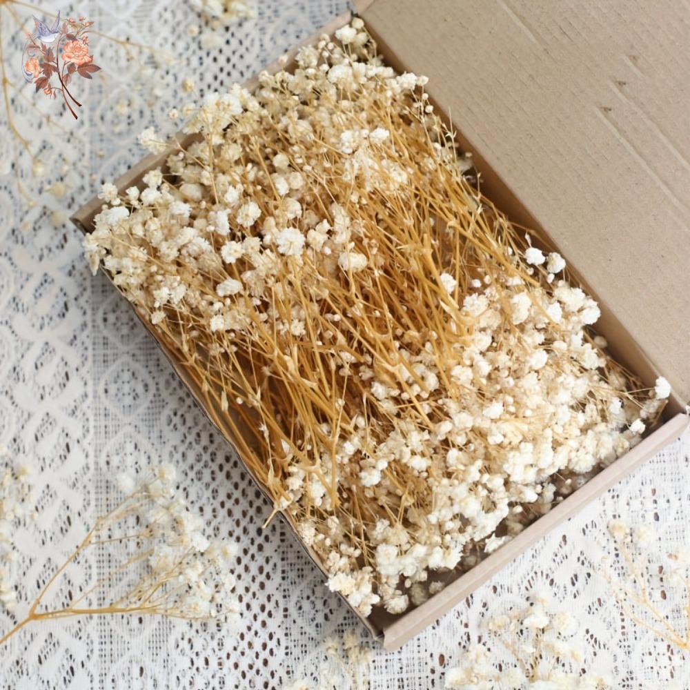 Resin Craft Ideas - 100 Pezzi Mini Fiori Secchi di