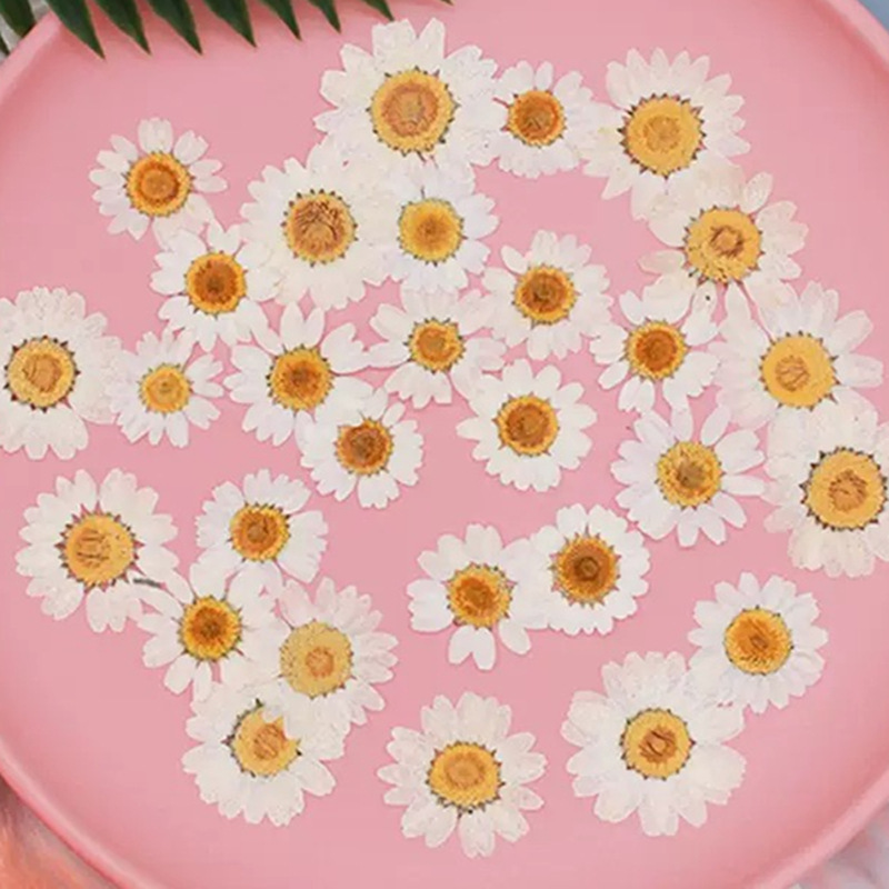 100 Pezzi di Fiori Secchi Natu - Resin Craft Ideas recensione e prezzo