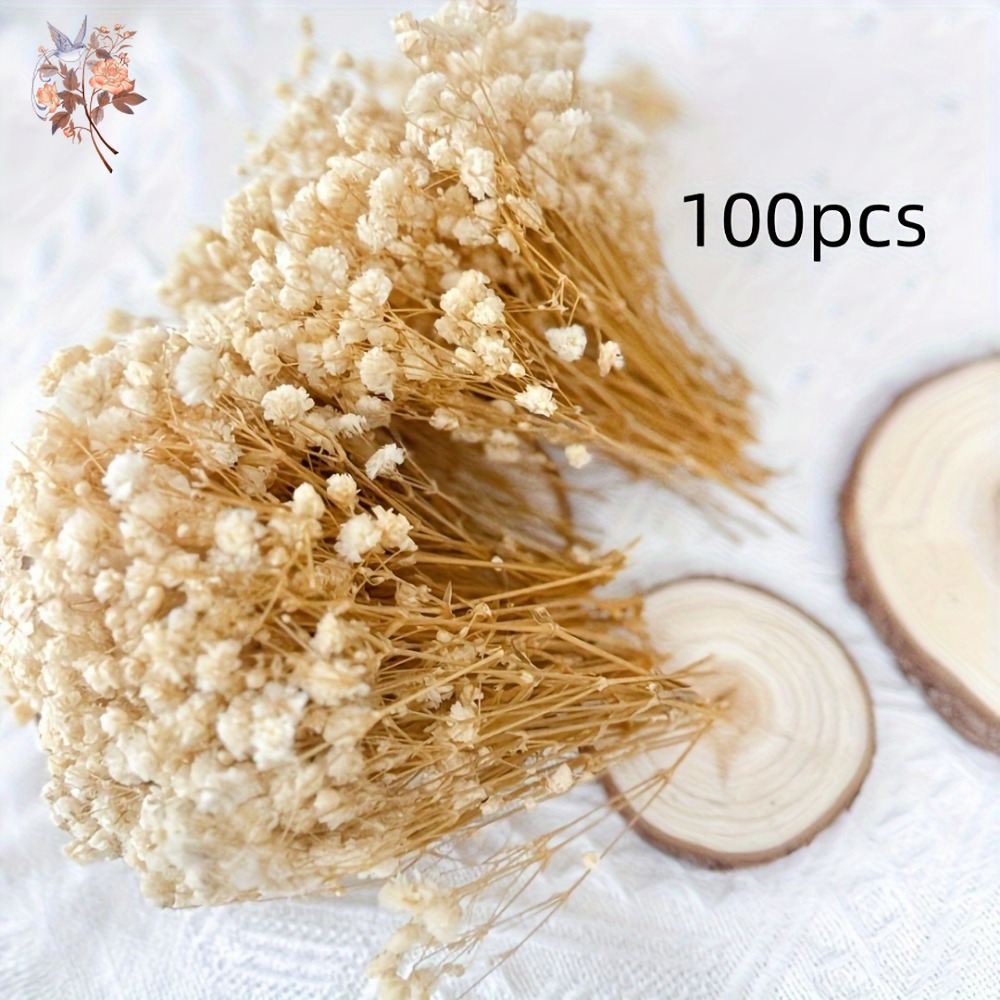 100 Pezzi Mini Fiori Secchi di - Resin Craft Ideas recensione e prezzo